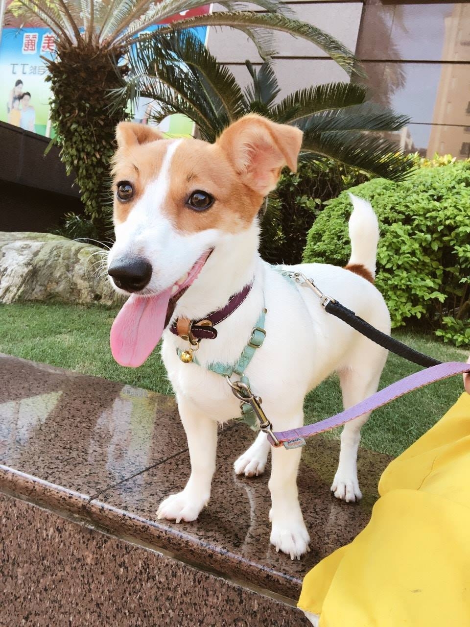 每天有公園散步時間。