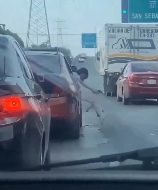 主人打開車窗，竟狠心的甩開狗狗！