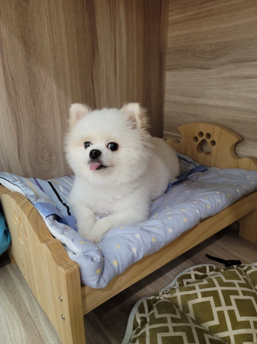 住宿環境舒適、乾淨。