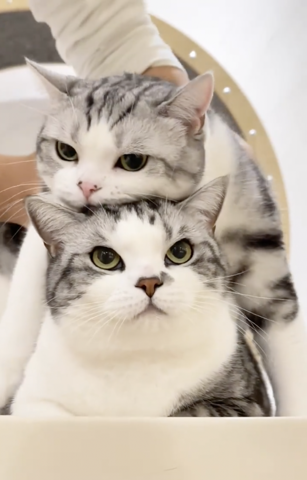 奴才：不行就別硬撐喔