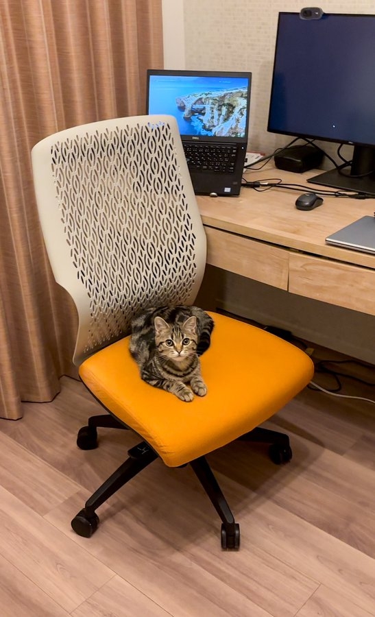 奴才：你這是在報復我嗎？