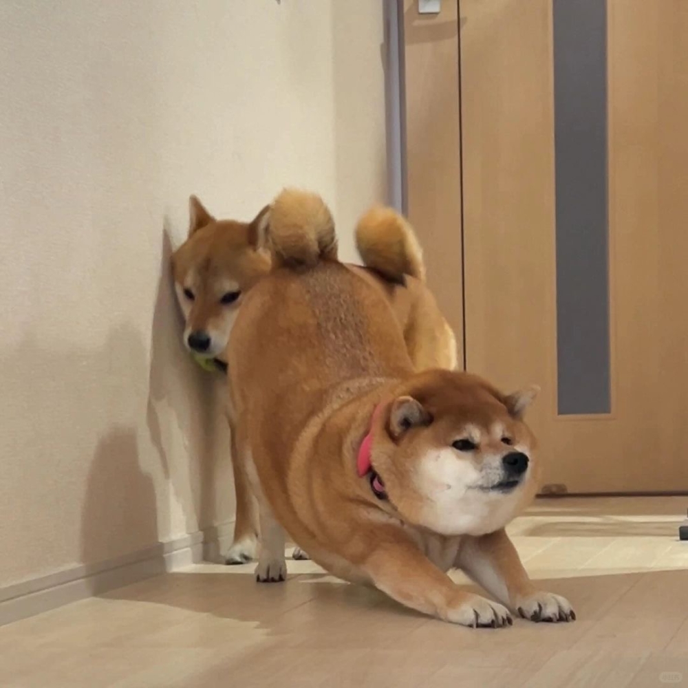 奴才：想要採訪你一下