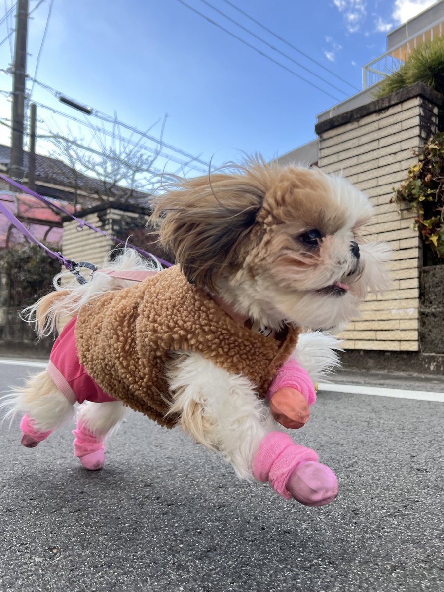 奴才：女孩子還是要注意形象啊