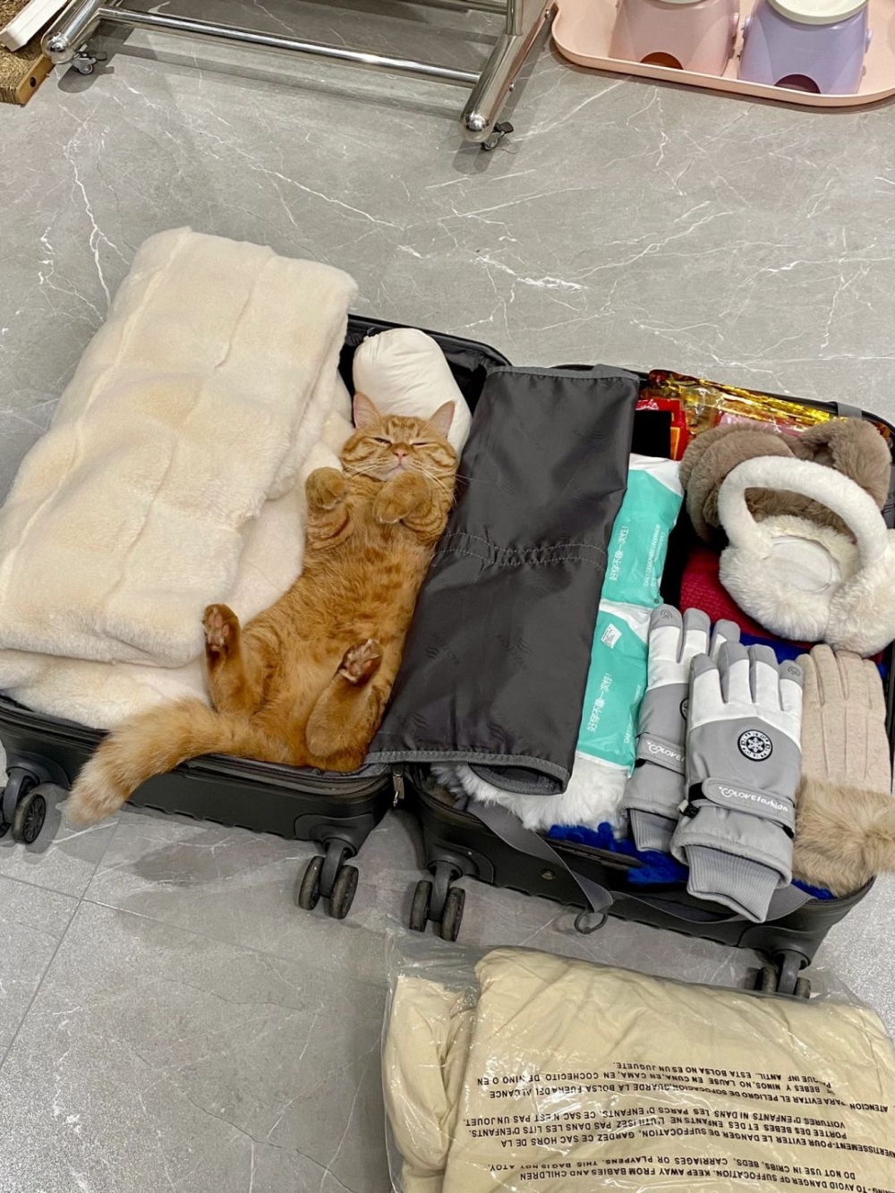 奴才：收拾行李啊