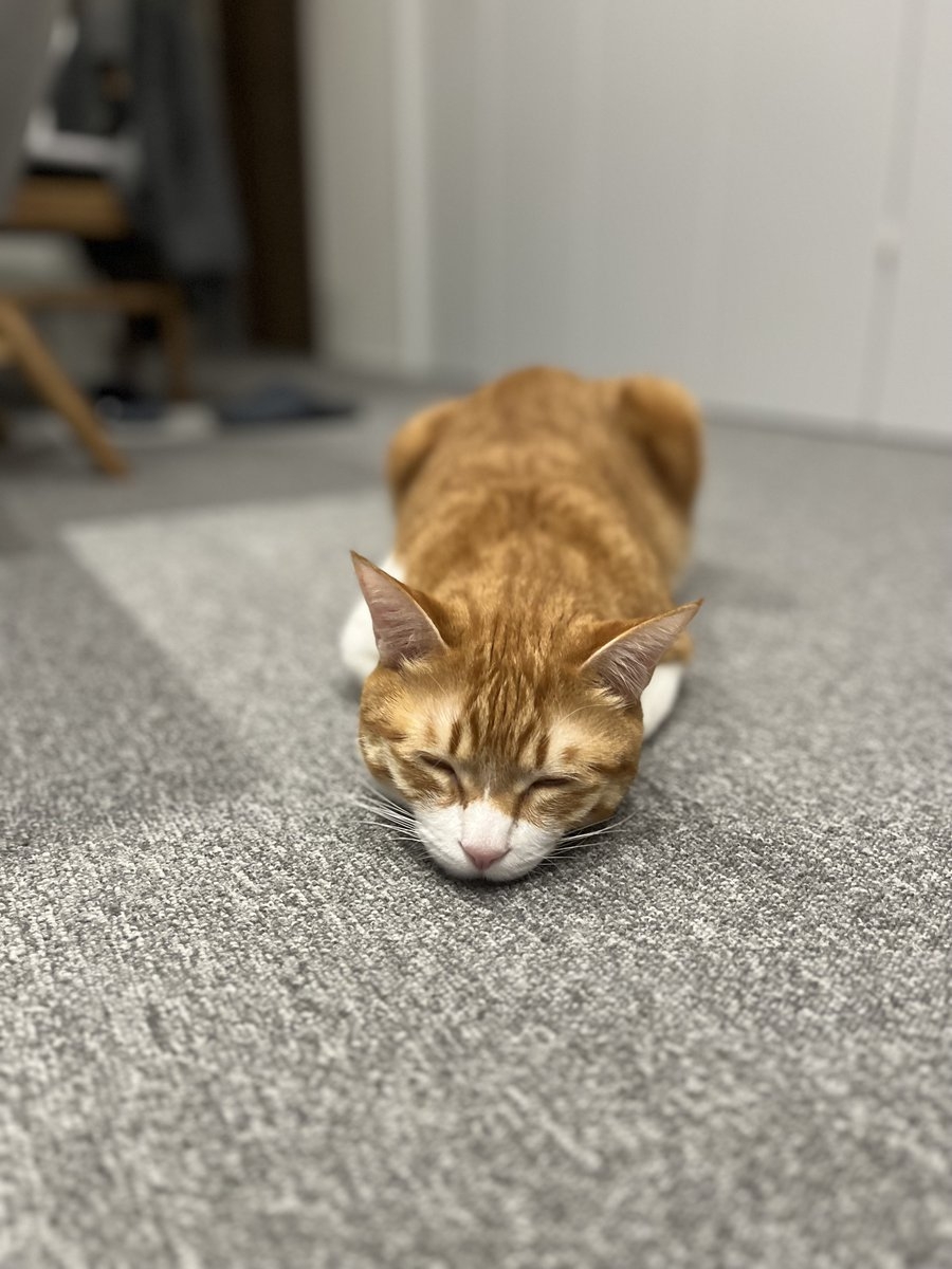 奴才：我緊張你不行啊