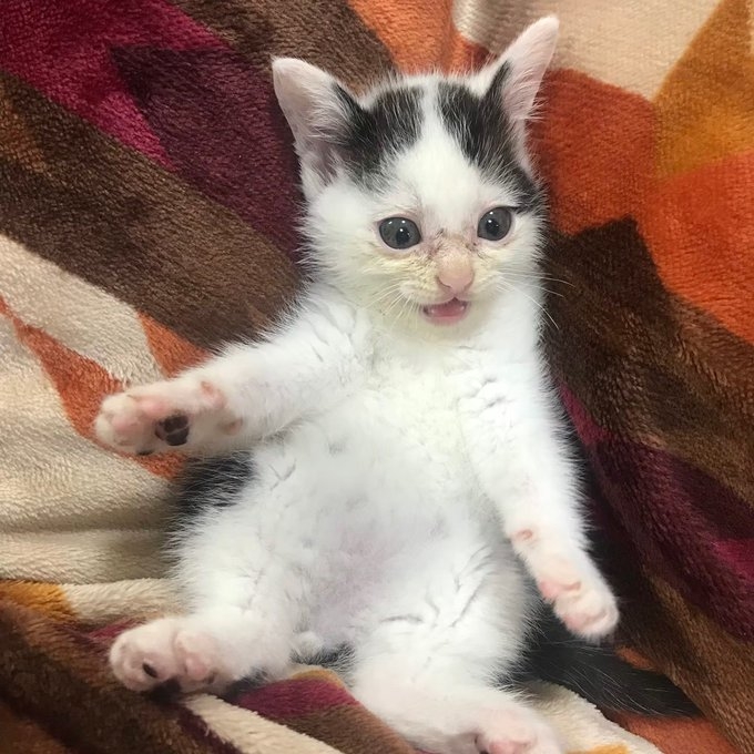 奴才：你也要感恩你的麻麻喔