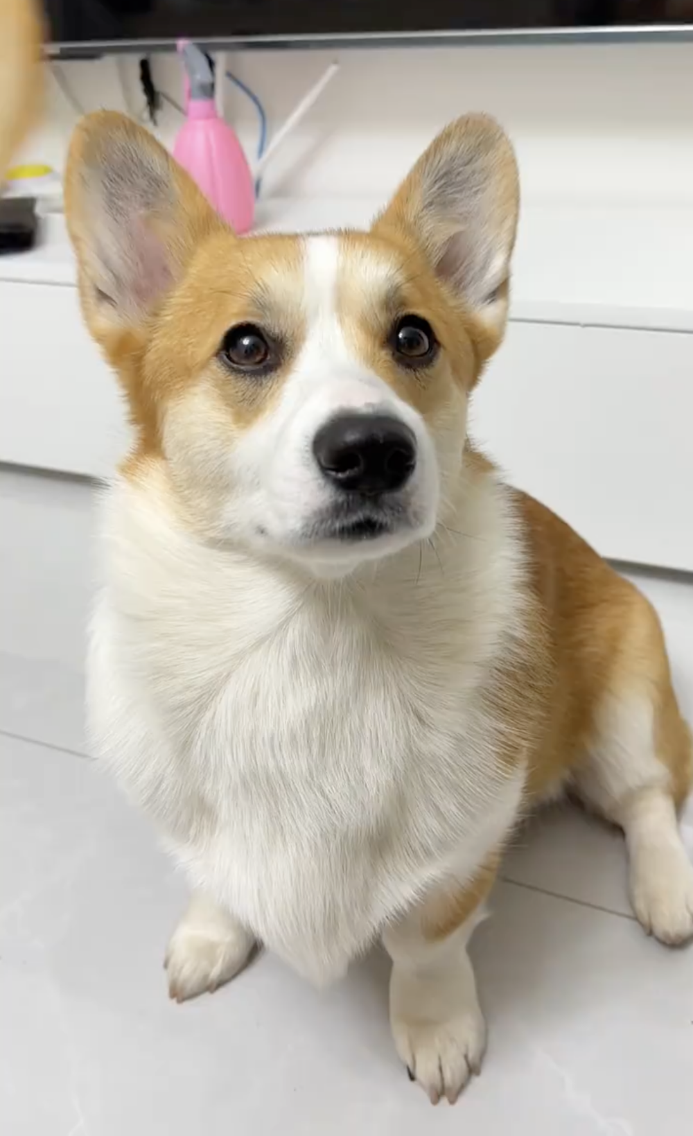 奴才：控制住你的口水喔