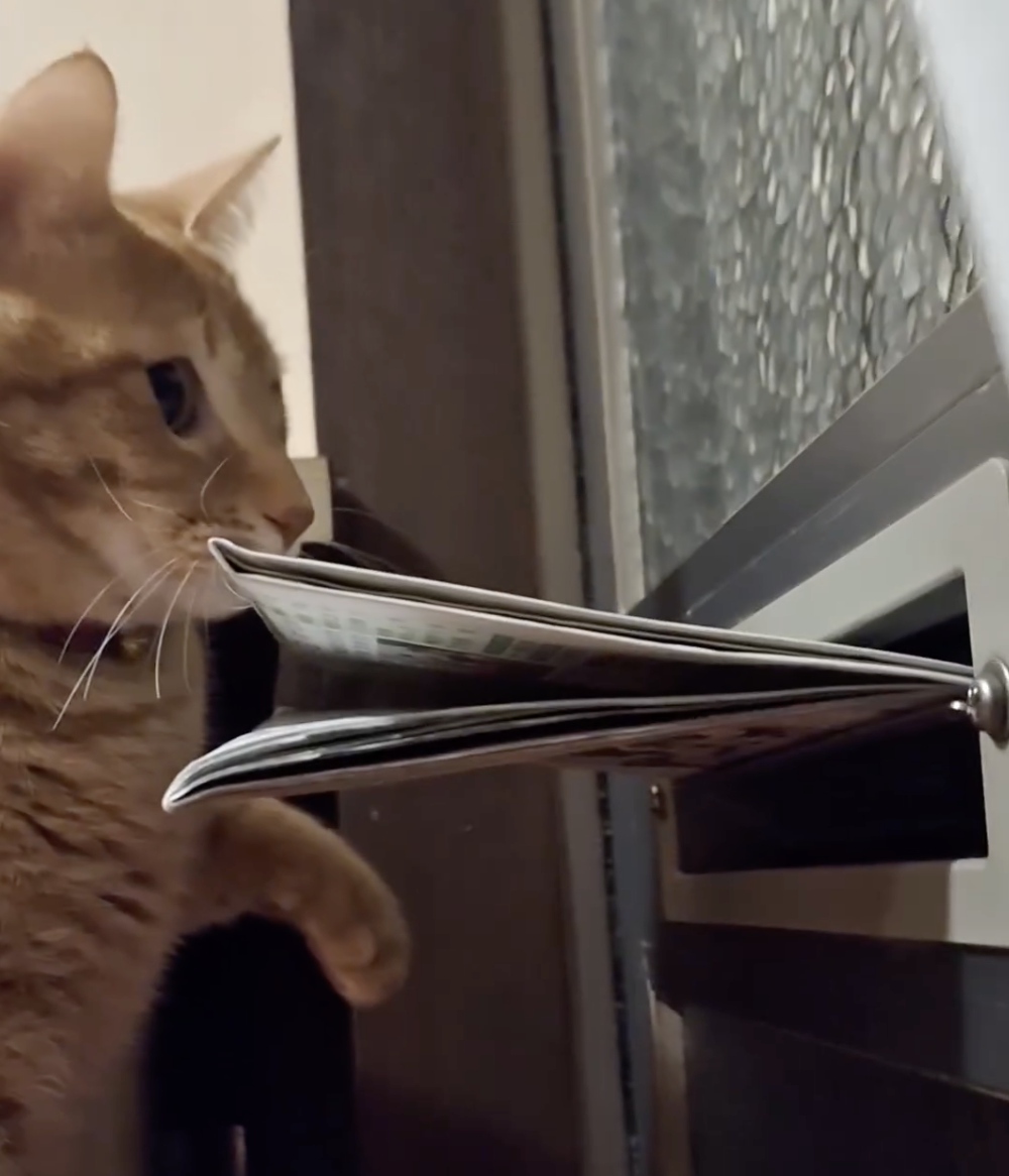 奴才：任務完成啦