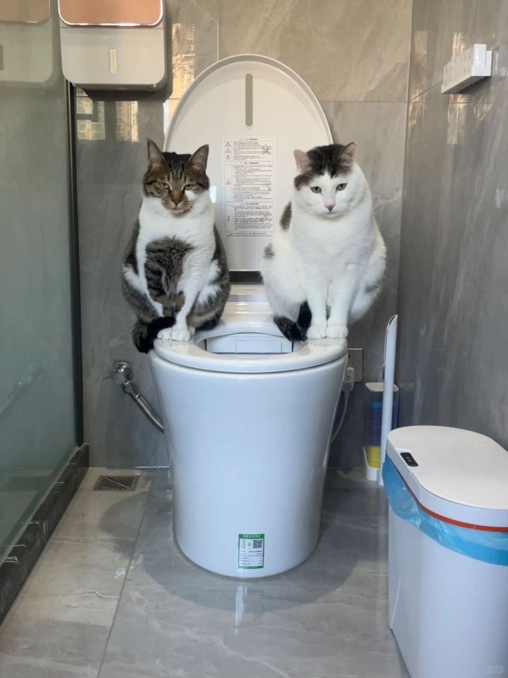 奴才：還要是兩隻一起？