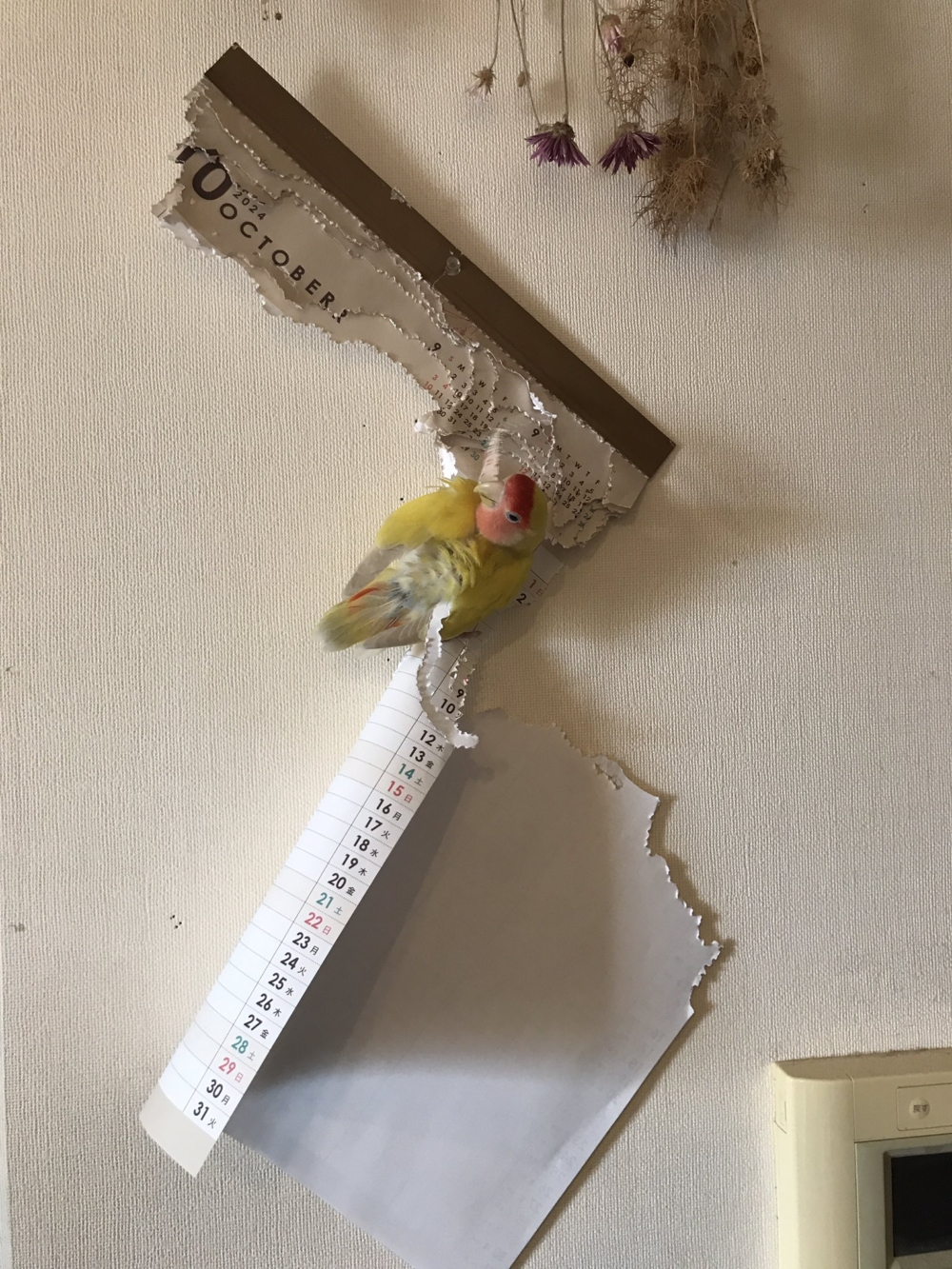 奴才：才沒注意一下而已