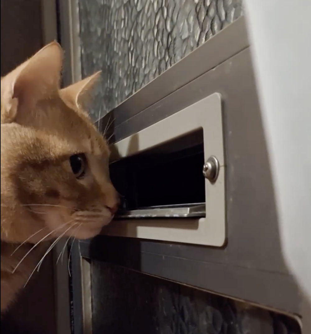 奴才：可能要等一等