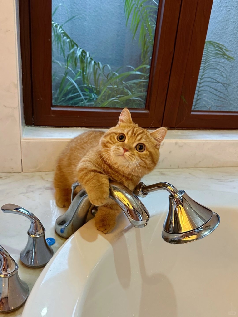 奴才:他們開玩笑而已,你別當真喔