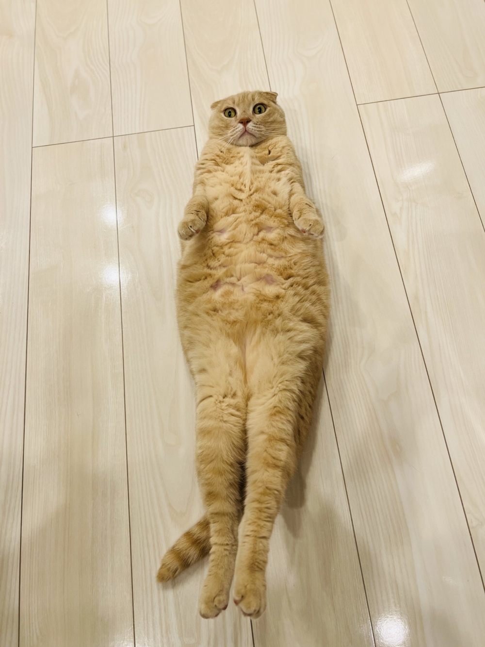 奴才：那你喜歡什麼？