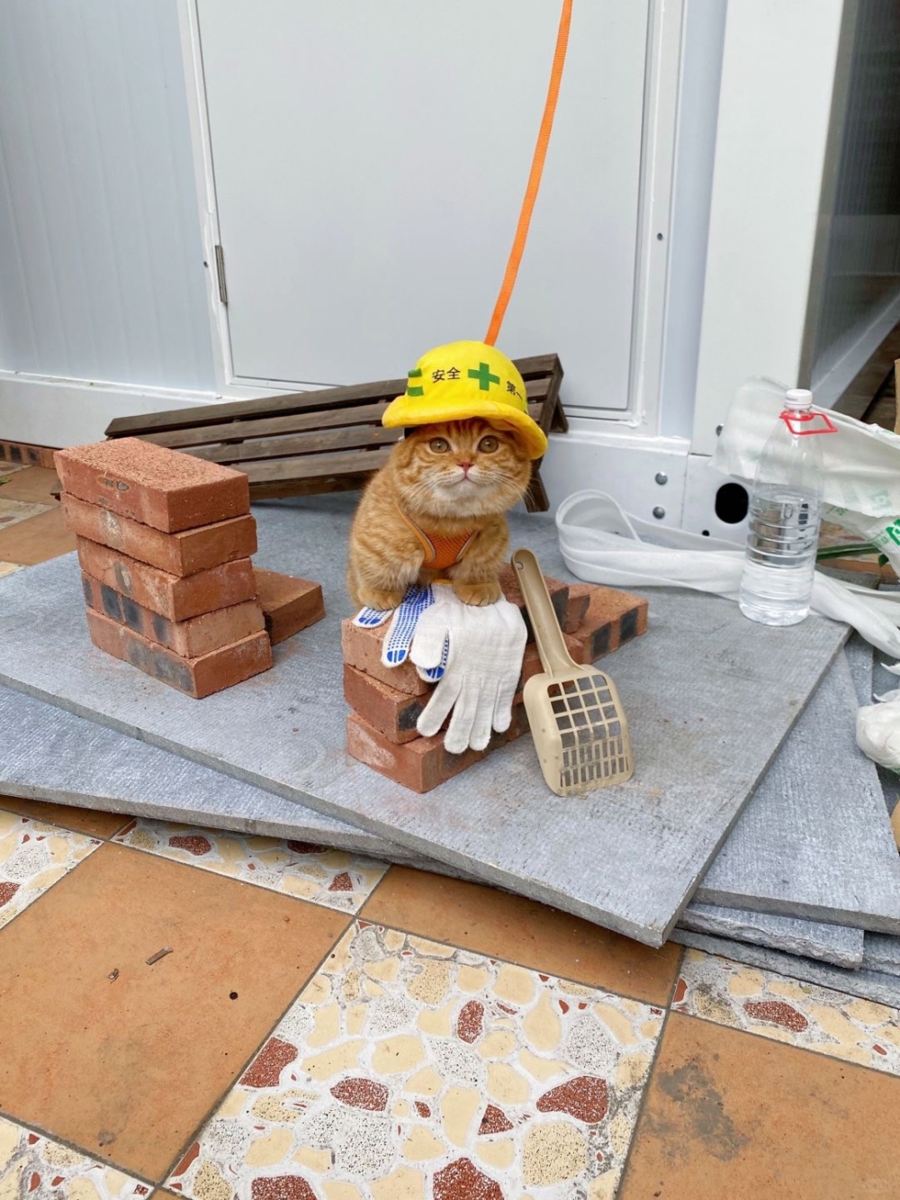 奴才：欸欸欸～別亂說