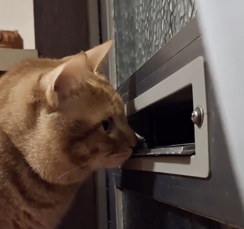 奴才：耐心一點啦