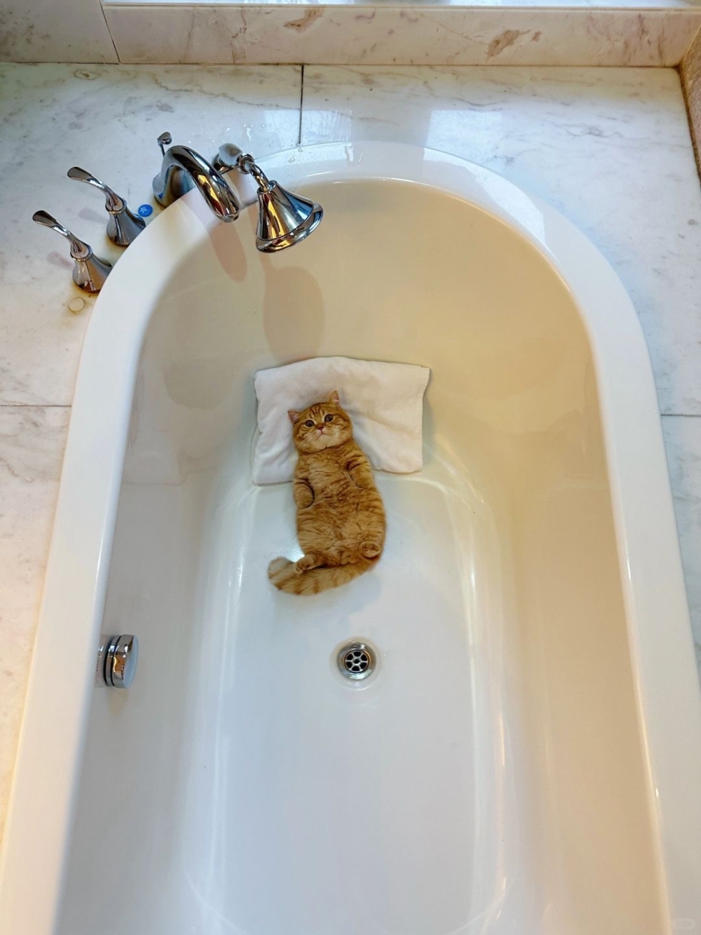 奴才:好啦~是你的專屬