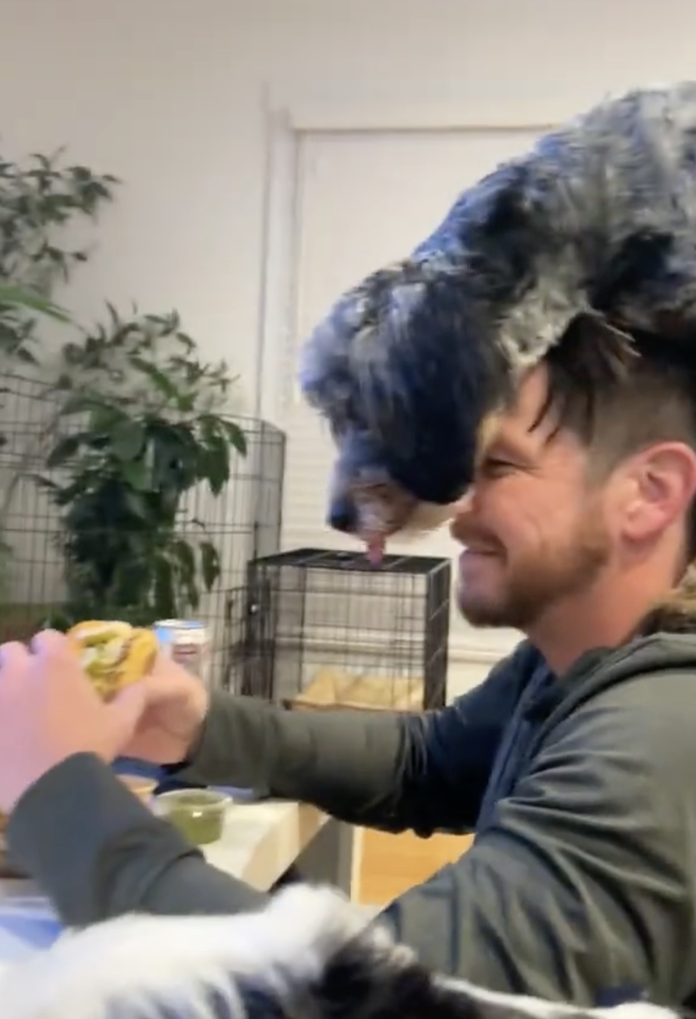 奴才：不行這樣搶人家食物囉