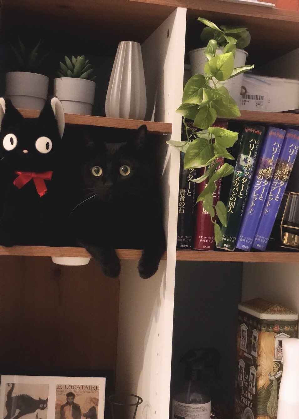 吉吉：你是跟屁蟲啊