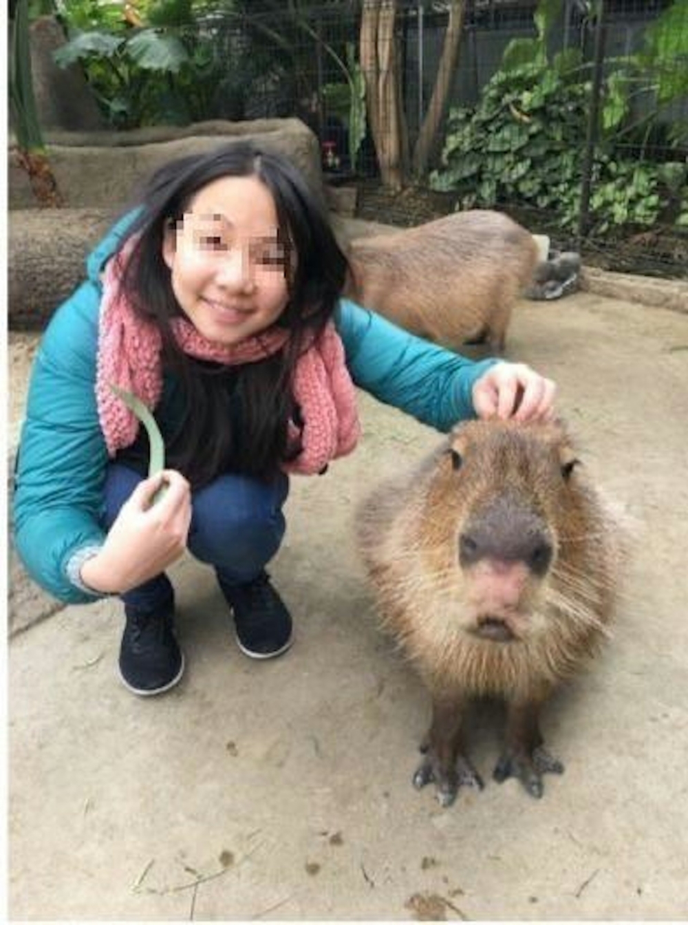 原本已逃出大樓的康姓女老師，疑似為了救出愛貓而再度折返家中，結果不幸罹難。