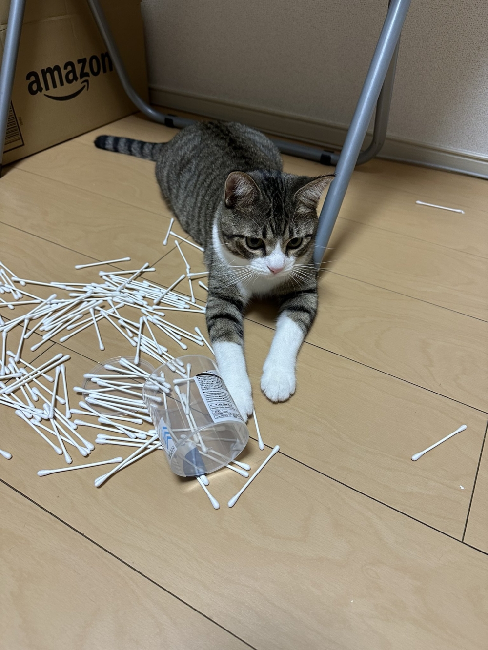 奴才：還在裝傻嗎