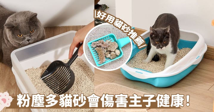 貓砂怎麼選？5大常見貓砂比較懶人包！豆腐砂、礦砂、木屑砂哪個好？5款好用貓砂推介！