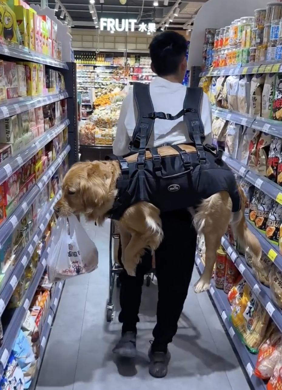 奴才:還好你可以幫忙提包