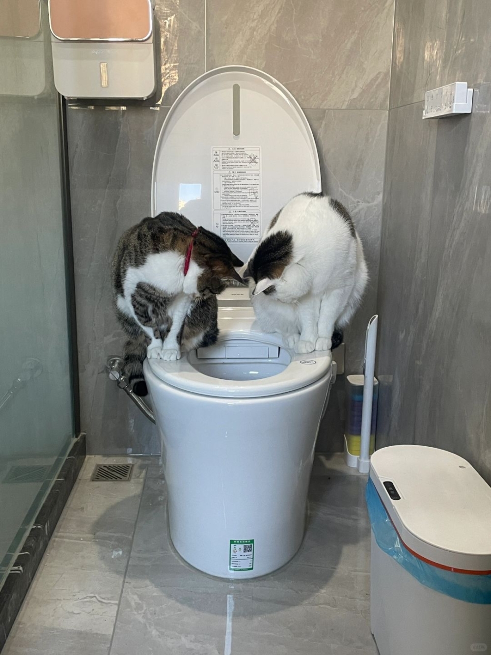 奴才：我也不敢啊