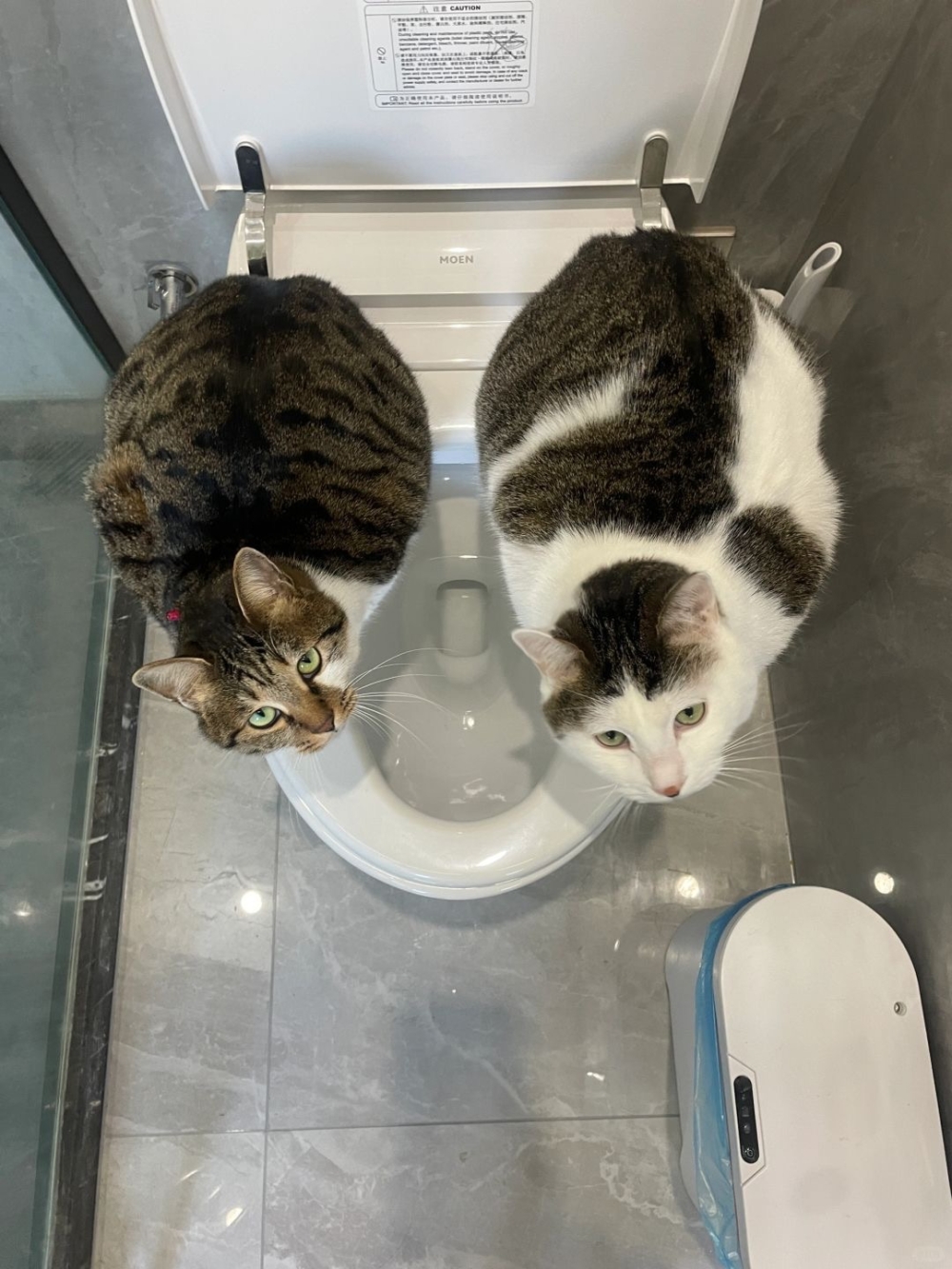 奴才：你們真的打算駐守在廁所裡啊？