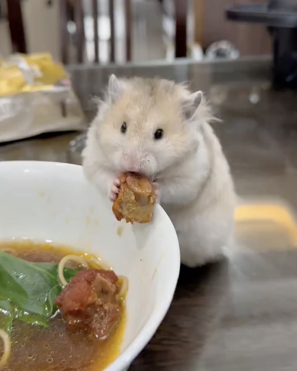 奴才：哇噻！你怎麼開吃了