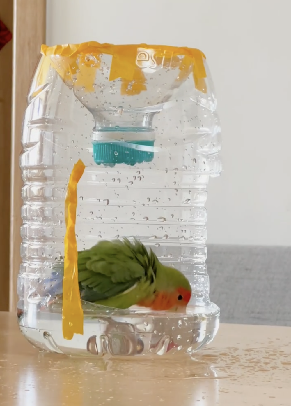 奴才：我很用心製作噠