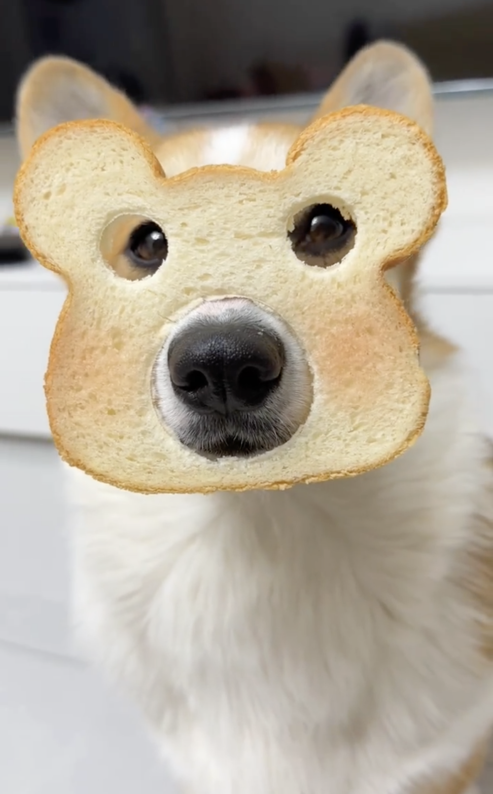 奴才：有時候要有點驚喜