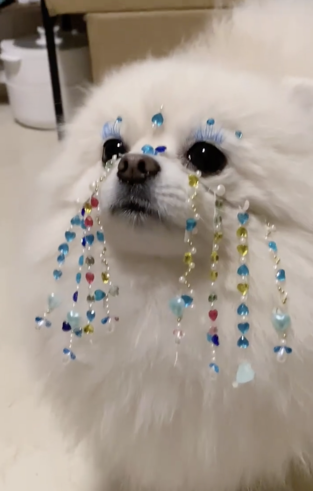 奴才：你很適合這個造型欸