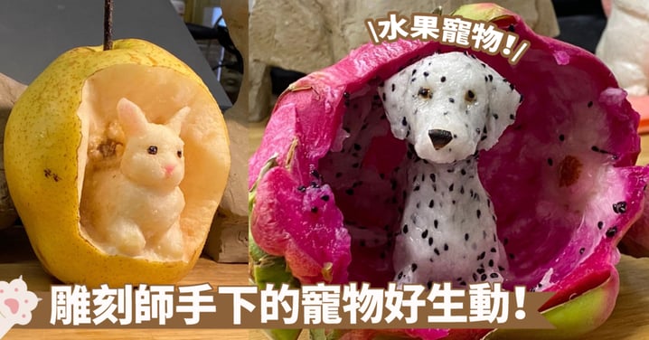 水果藝術雕刻太逼真啦！火龍果→斑點小狗？梨→小兔子～網：太強了