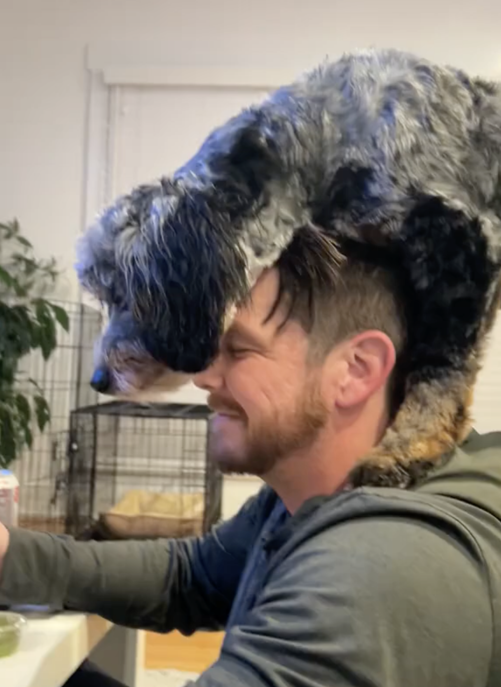 奴才：這你不能吃啊