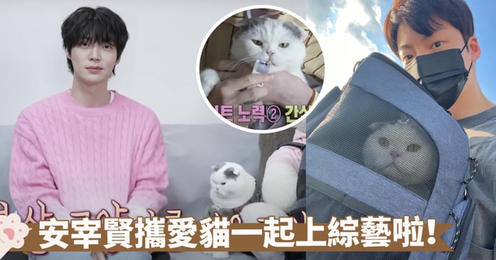 安宰賢攜愛貓一起參與韓綜《我獨自生活》啦！就此揭開單身漢&高冷貓的生活常態～