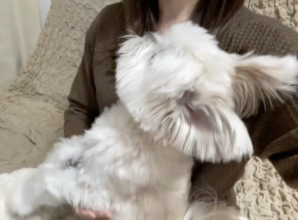 奴才：敗給你了