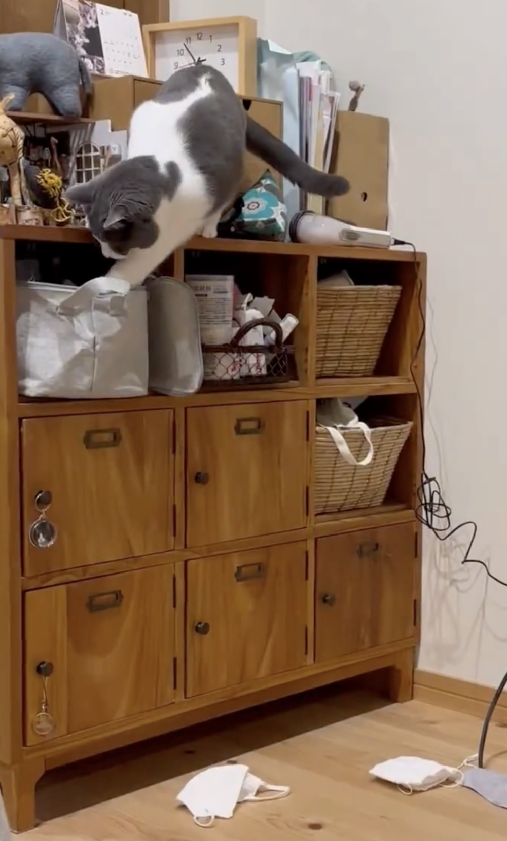 奴才：你在找什麼呢？