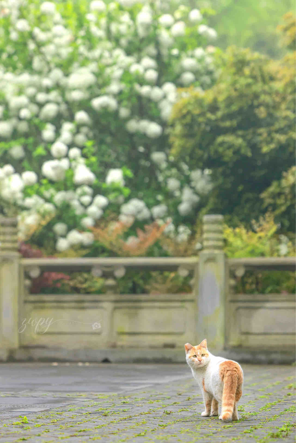 攝影師：知道你最好了