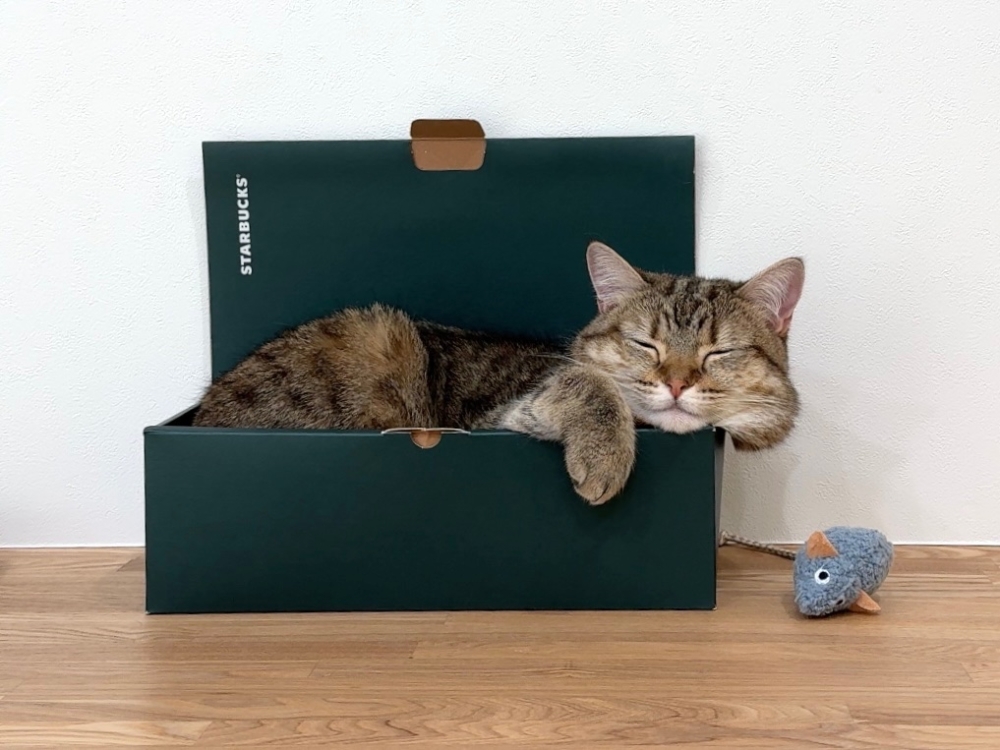 奴才：我們在等你一起加入啊