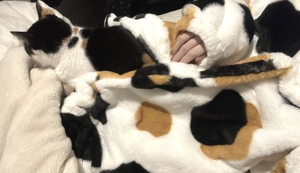 奴才：有什麼好怕的啦～