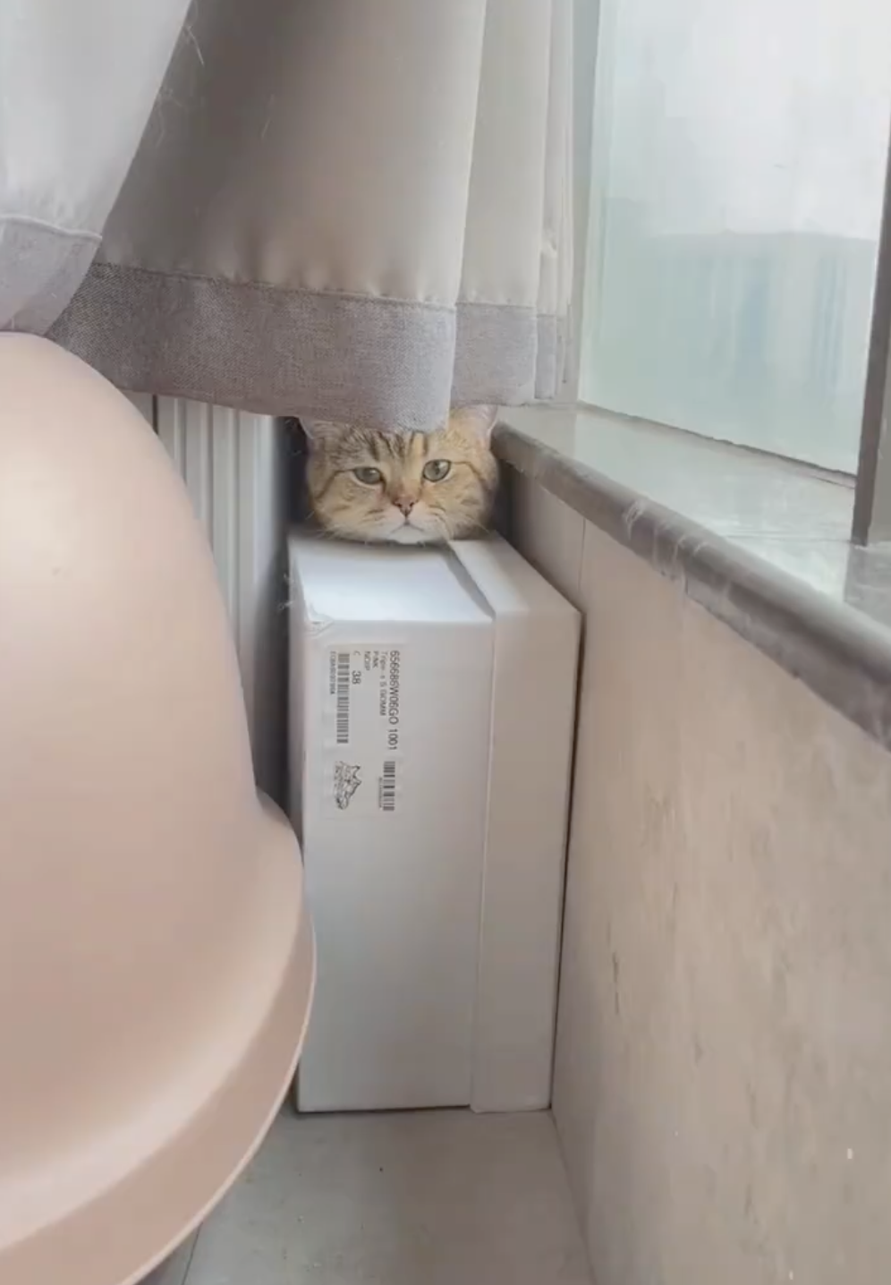 奴才：你別演了