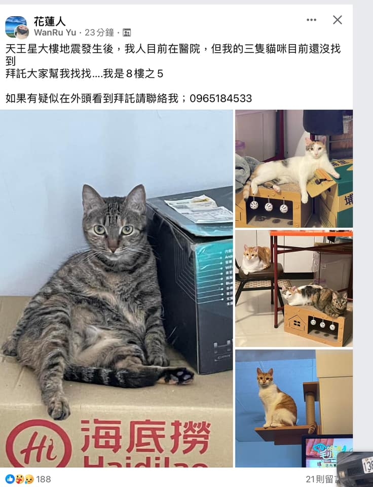 毛孩主人仍在醫院，非常擔心毛孩的安全。