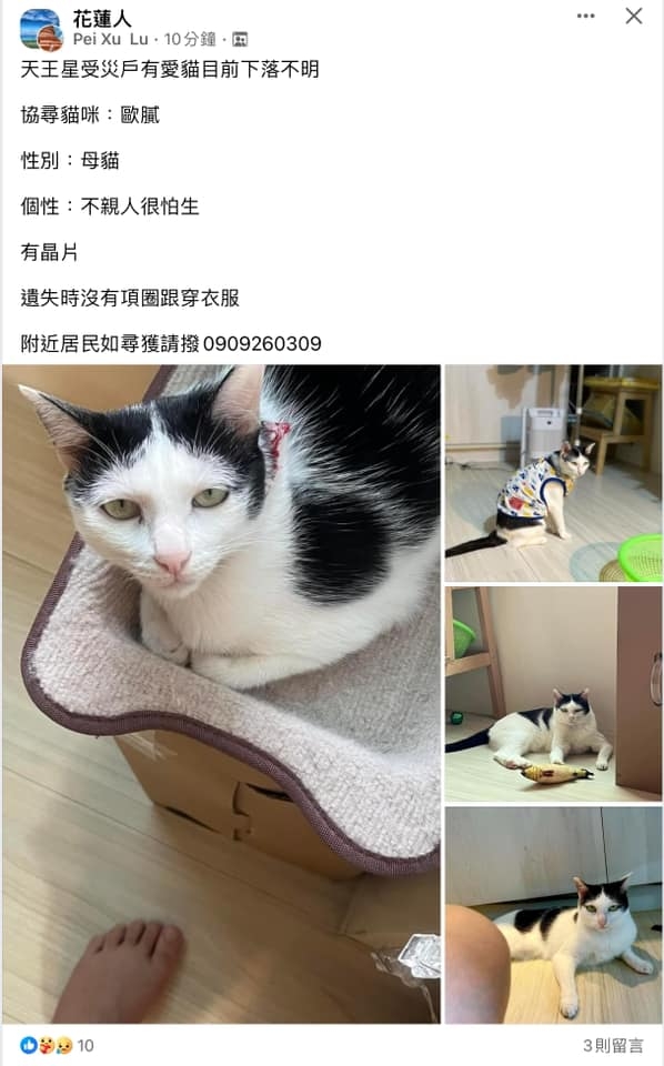 不少主人心急尋回家中毛小孩，在各大社團出貼文，懇請網民幫忙與注意.