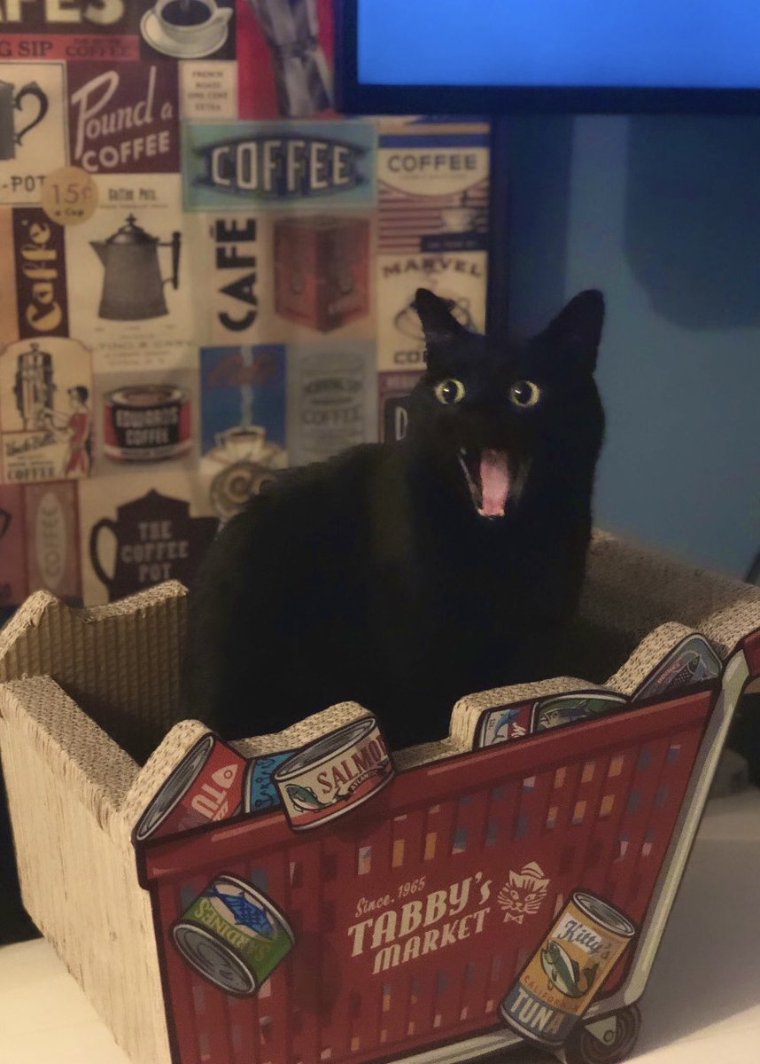 喵：實話實說而已囉