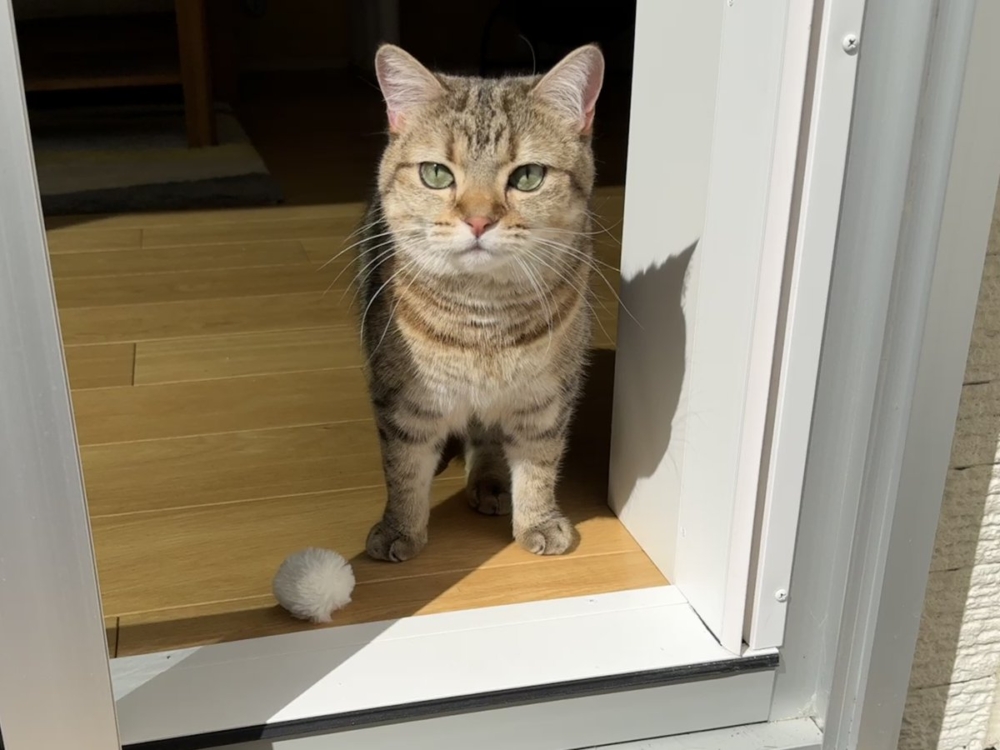 奴才：你別胡思亂想