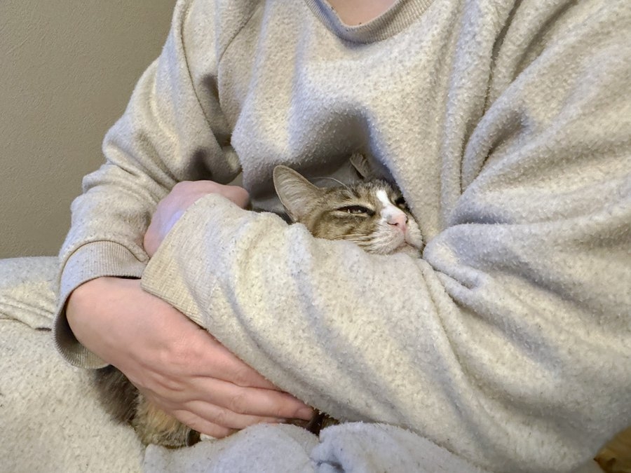 奴才：你自己就不害怕嗎？