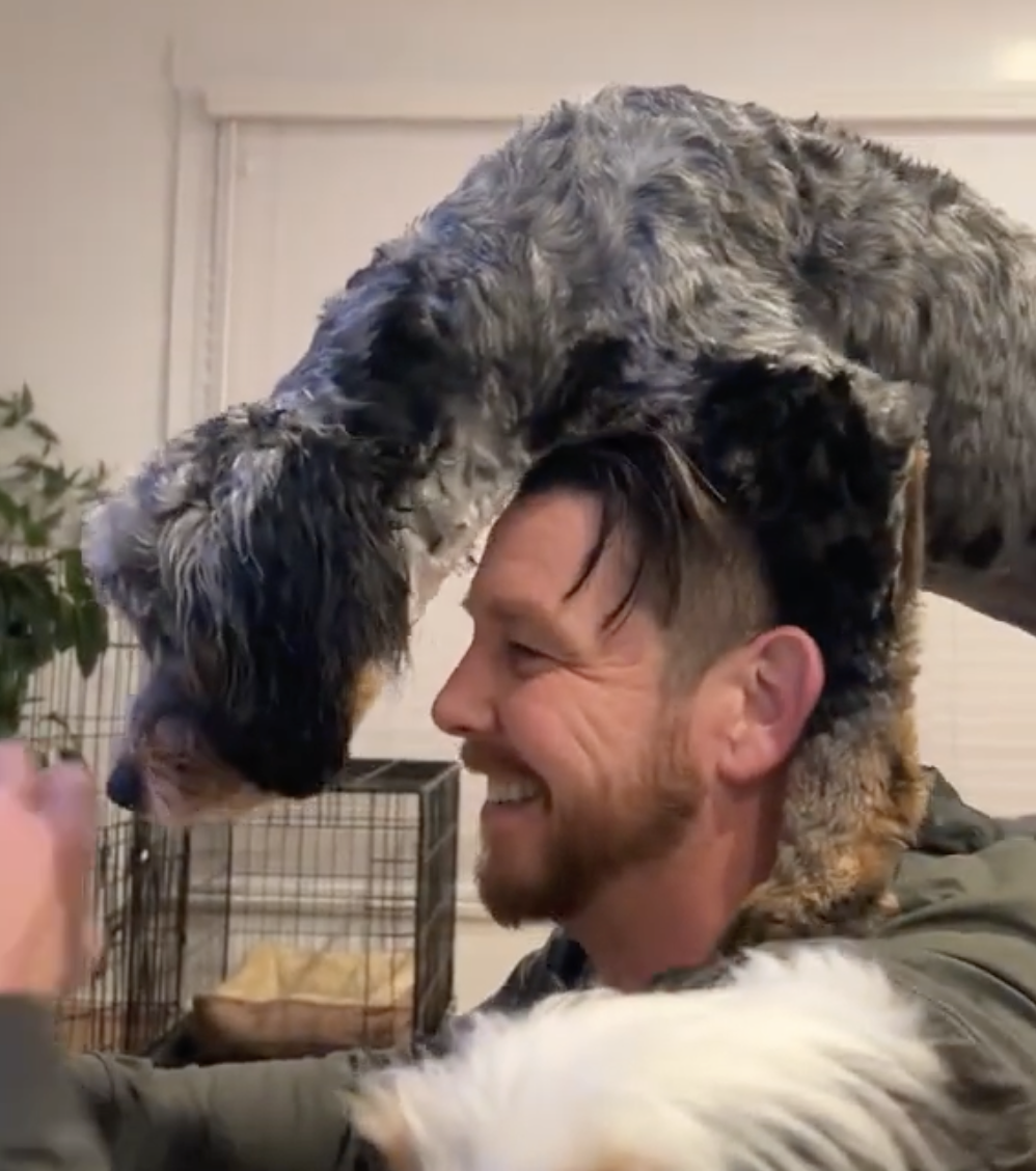 奴才：錯在我嗎...