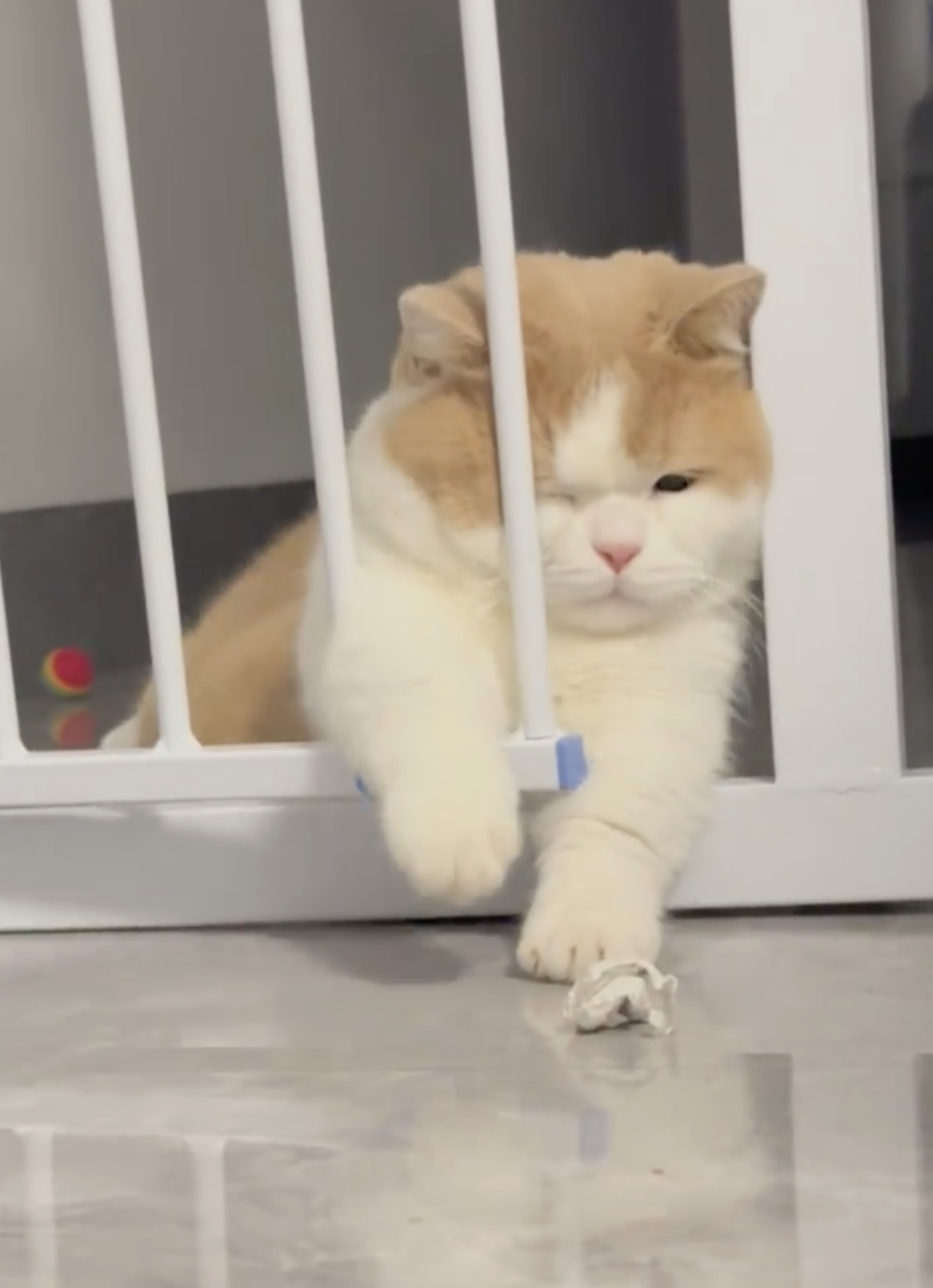 奴才：別只會伸手啊