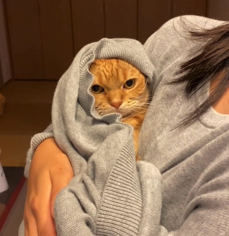 奴才：那就健康快樂的生活吧