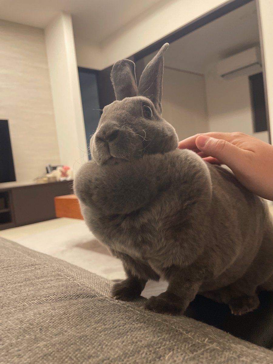 奴才：你絕對是怕我強過你啦